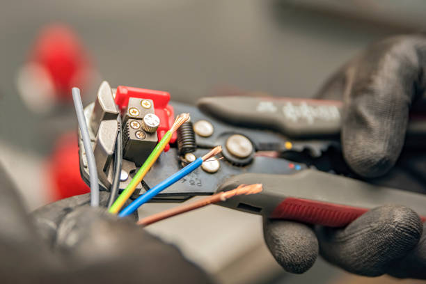 Best Electric Panel Repair  in Marshall, WI